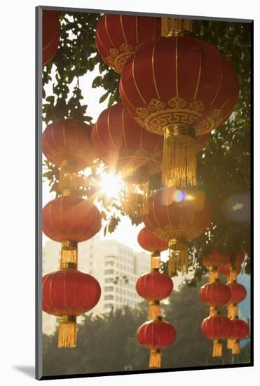 Lanterns in Lizhi Park, Shenzhen, Guangdong, China-Ian Trower-Mounted Photographic Print