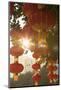 Lanterns in Lizhi Park, Shenzhen, Guangdong, China-Ian Trower-Mounted Photographic Print