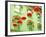 Lanterns In The Wind-Sonja Quintero-Framed Photographic Print