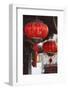 Lanterns, Lijiang (UNESCO World Heritage Site), Yunnan, China-Ian Trower-Framed Photographic Print