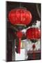 Lanterns, Lijiang (UNESCO World Heritage Site), Yunnan, China-Ian Trower-Mounted Photographic Print