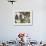 Lanterns on Wall, Betancuria, Fuerteventura, Canary Islands, Spain-Jon Arnold-Framed Photographic Print displayed on a wall