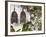 Lanterns on Wall, Betancuria, Fuerteventura, Canary Islands, Spain-Jon Arnold-Framed Photographic Print