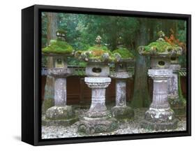 Lanterns, Toshogu Shrine, Tochigi, Nikko, Japan-Rob Tilley-Framed Stretched Canvas