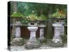 Lanterns, Toshogu Shrine, Tochigi, Nikko, Japan-Rob Tilley-Stretched Canvas