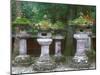 Lanterns, Toshogu Shrine, Tochigi, Nikko, Japan-Rob Tilley-Mounted Photographic Print