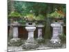 Lanterns, Toshogu Shrine, Tochigi, Nikko, Japan-Rob Tilley-Mounted Photographic Print
