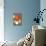 Lanterns-Dicky Bird-Premium Giclee Print displayed on a wall
