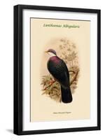 Lanthoenas Albigularis - White-Throated Pigeon-John Gould-Framed Art Print