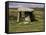 Lanyon Quoit, Cornwall, England, United Kingdom-David Hunter-Framed Stretched Canvas