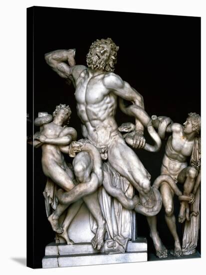 Laocoon and His Sons. Sculpture. 25BC-null-Stretched Canvas
