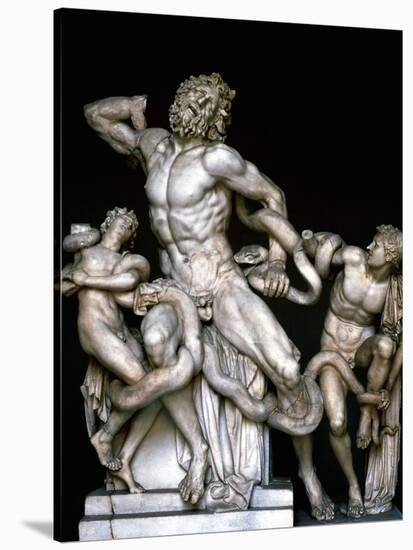 Laocoon and His Sons. Sculpture. 25BC-null-Stretched Canvas