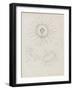 Laomedea Geniculata: Hydrozoan-Philip Henry Gosse-Framed Giclee Print