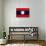 Laos Flag Design with Wood Patterning - Flags of the World Series-Philippe Hugonnard-Mounted Art Print displayed on a wall