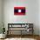 Laos Flag Design with Wood Patterning - Flags of the World Series-Philippe Hugonnard-Stretched Canvas displayed on a wall