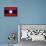 Laos Flag Design with Wood Patterning - Flags of the World Series-Philippe Hugonnard-Framed Stretched Canvas displayed on a wall