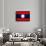 Laos Flag Design with Wood Patterning - Flags of the World Series-Philippe Hugonnard-Framed Art Print displayed on a wall