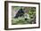 Laos, Kuang Si-Nigel Pavitt-Framed Photographic Print