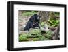 Laos, Kuang Si-Nigel Pavitt-Framed Photographic Print