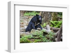 Laos, Kuang Si-Nigel Pavitt-Framed Photographic Print