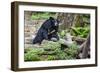 Laos, Kuang Si-Nigel Pavitt-Framed Photographic Print