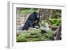 Laos, Kuang Si-Nigel Pavitt-Framed Photographic Print