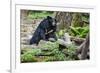 Laos, Kuang Si-Nigel Pavitt-Framed Photographic Print