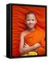 Laos, Luang Prabang, Wat Sensoukarahm, Portrait of Monk-Steve Vidler-Framed Stretched Canvas