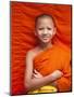 Laos, Luang Prabang, Wat Sensoukarahm, Portrait of Monk-Steve Vidler-Mounted Premium Photographic Print