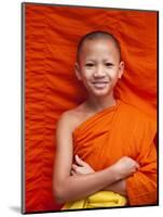 Laos, Luang Prabang, Wat Sensoukarahm, Portrait of Monk-Steve Vidler-Mounted Photographic Print