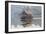 Laos, Sainyabuli. Elephant Conservation Center water shuttle on Nam Tien Reservoir.-Walter Bibikow-Framed Photographic Print