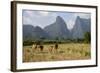 Laos, Vang Vieng. Cows and Mountains-Matt Freedman-Framed Photographic Print