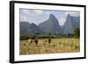 Laos, Vang Vieng. Cows and Mountains-Matt Freedman-Framed Photographic Print