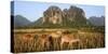 Laos, Vang Vieng. Cows in Front of Limestone Karst at Sunrise-Matt Freedman-Stretched Canvas