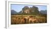 Laos, Vang Vieng. Cows in Front of Limestone Karst at Sunrise-Matt Freedman-Framed Photographic Print