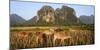 Laos, Vang Vieng. Cows in Front of Limestone Karst at Sunrise-Matt Freedman-Mounted Photographic Print