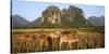 Laos, Vang Vieng. Cows in Front of Limestone Karst at Sunrise-Matt Freedman-Stretched Canvas