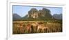 Laos, Vang Vieng. Cows in Front of Limestone Karst at Sunrise-Matt Freedman-Framed Photographic Print