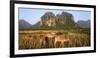 Laos, Vang Vieng. Cows in Front of Limestone Karst at Sunrise-Matt Freedman-Framed Photographic Print