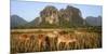 Laos, Vang Vieng. Cows in Front of Limestone Karst at Sunrise-Matt Freedman-Mounted Photographic Print