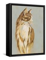 Lap Cat I-Chariklia Zarris-Framed Stretched Canvas