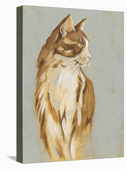 Lap Cat I-Chariklia Zarris-Stretched Canvas