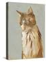 Lap Cat II-Chariklia Zarris-Stretched Canvas