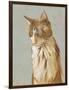 Lap Cat II-Chariklia Zarris-Framed Art Print