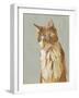 Lap Cat II-Chariklia Zarris-Framed Art Print