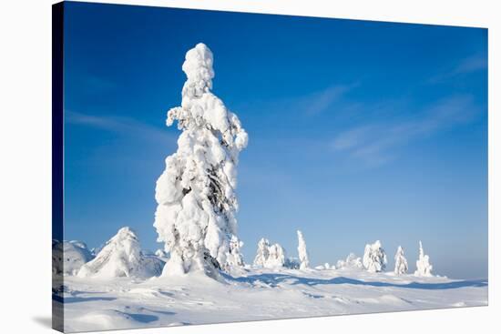 Lapland Finland-Molka-Stretched Canvas