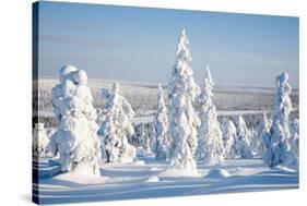 Lapland Finland-Molka-Stretched Canvas