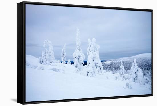 Lapland Finland-Molka-Framed Stretched Canvas