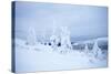 Lapland Finland-Molka-Stretched Canvas