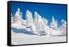 Lapland Finland-Molka-Framed Stretched Canvas